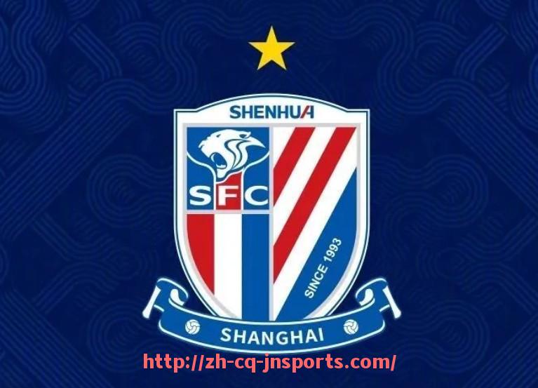 JN江南体育-法甲赛季外援配置优化及效果评估报告