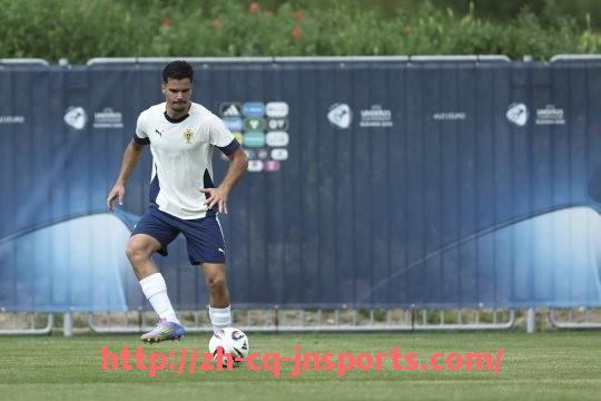 JN江南体育-2005年法甲雷恩球队球员名单